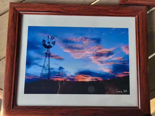 Set of 4 Framed Nature Photography Prints