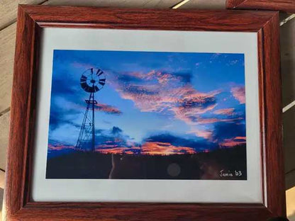 Set of 4 Framed Nature Photography Prints