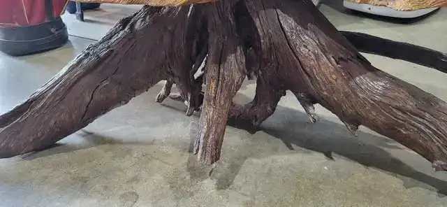 Root Coffee Table - Live Edge