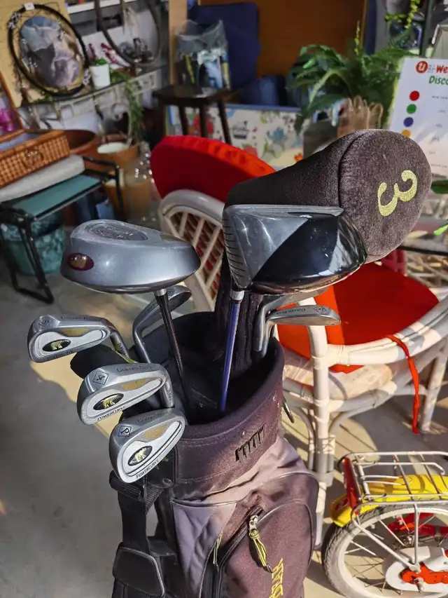 Golden Bear Golf Clubs Set