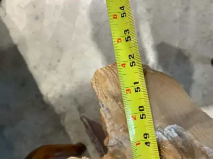 Live Edge Root Coffee Table