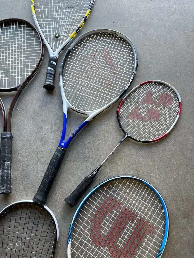 Mixed Collection of sports Rackets
