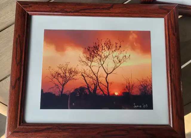 Set of 4 Framed Nature Photography Prints