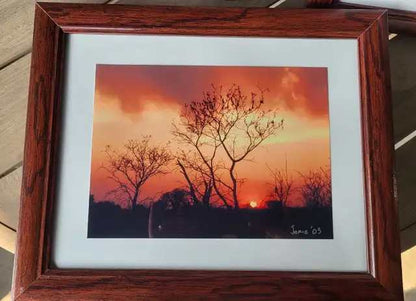 Set of 4 Framed Nature Photography Prints