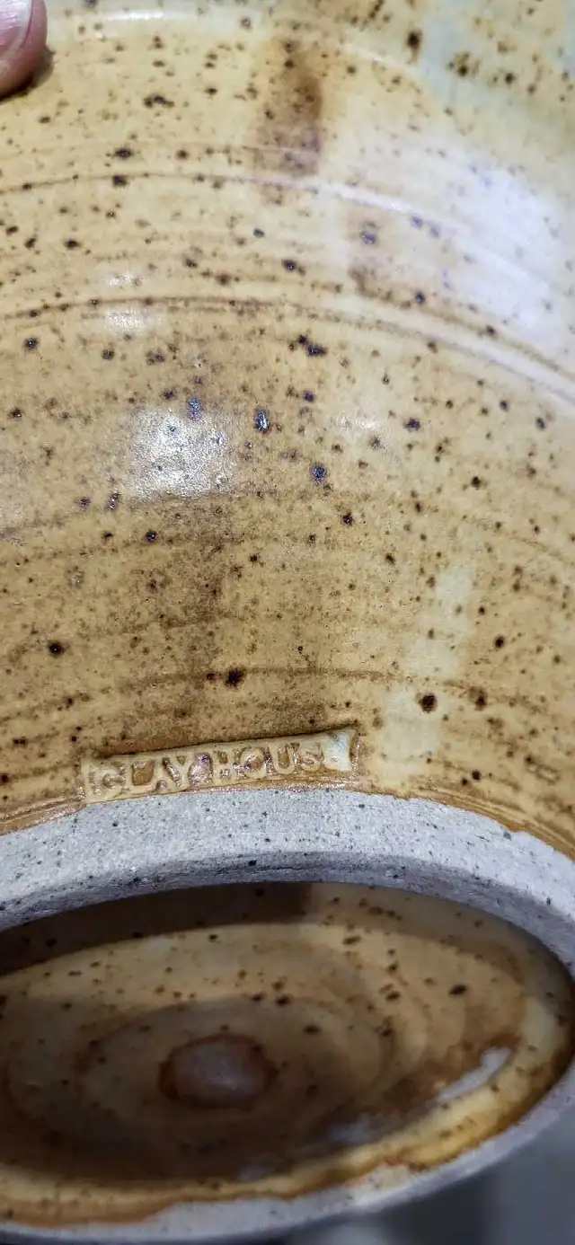 Clayhouse Pottery Bowl with Dragonfly Pattern - 11"
