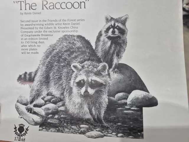 Edwin M. Knowles The Raccoon Plate