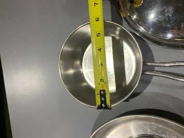 Lagostina Stainless Steel Pan Set of 2