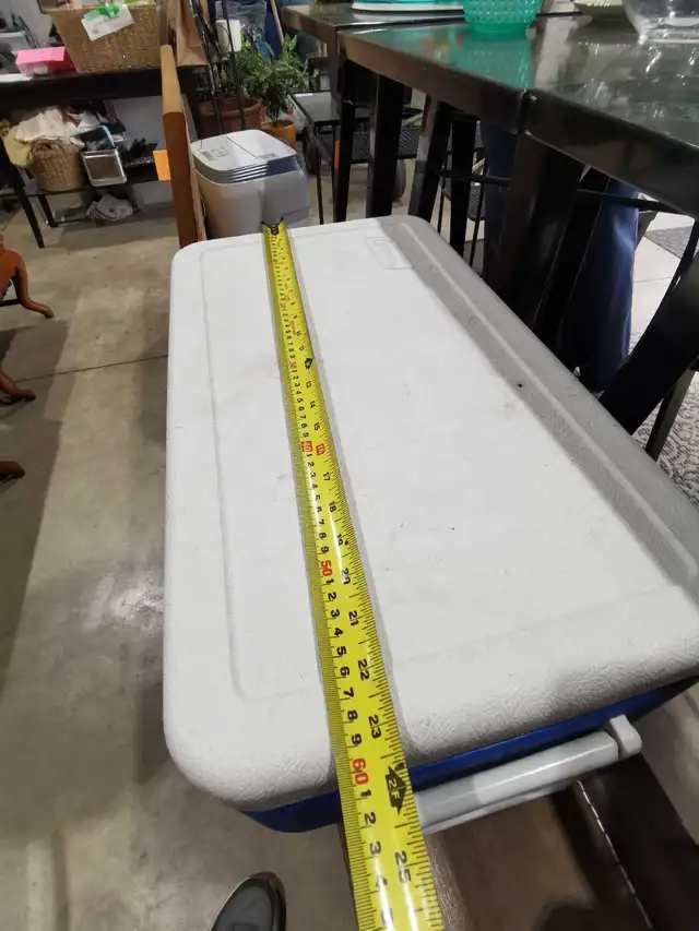 Blue Coleman Cooler