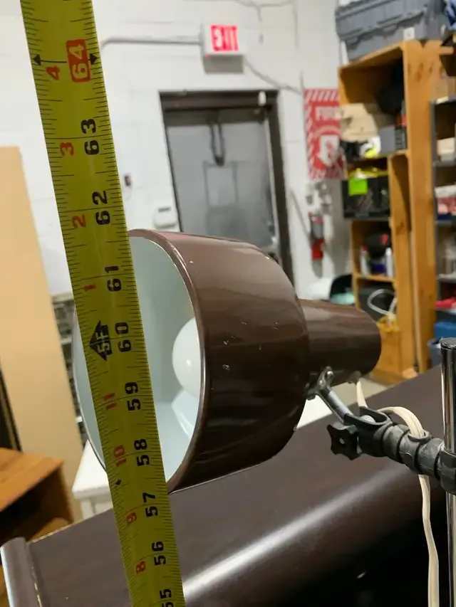 Floor Lamp