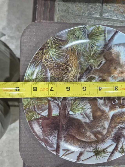 Edwin M. Knowles The Squirrel Plate