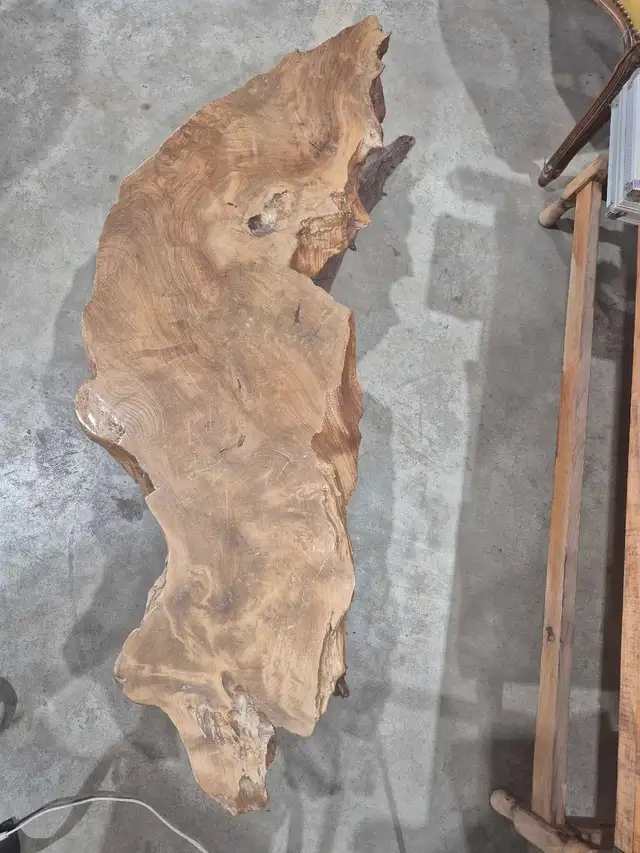 Live Edge Root Resin Coffee Table