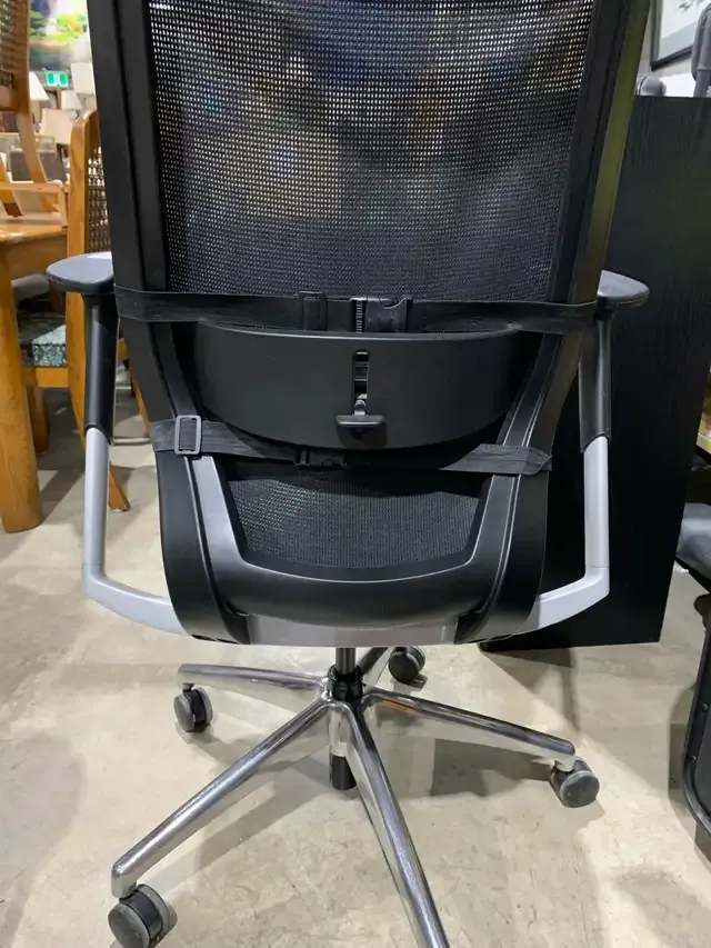 Fortem Lumbar Support Pillow