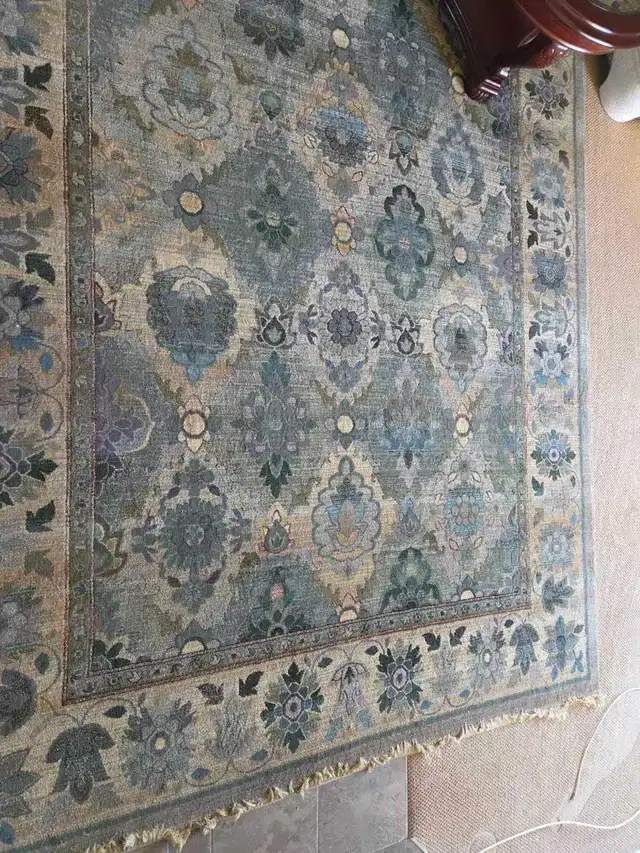 Focus Rugs Vision 1011 Area Rug
