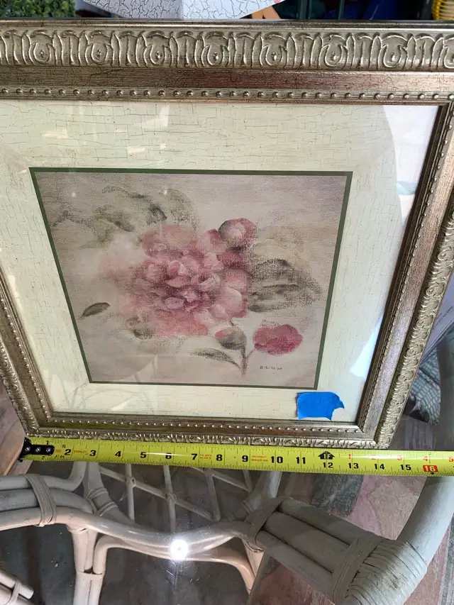 Blum Floral Framed Prints (set of 2)