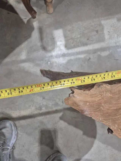 Live Edge Root Resin Coffee Table