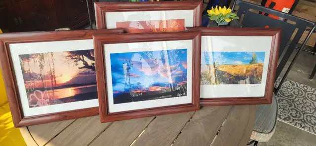 Set of 4 Framed Nature Photography Prints