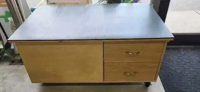 Mobile Dog Grooming Workstation Table