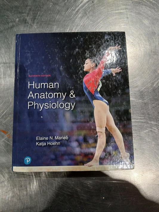 Human Anatomy & Physiology Hardcover, by Marieb Elaine; Hoehn Katja - GOOD