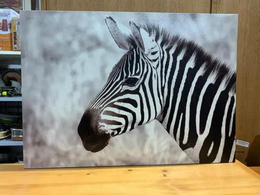 Zebra Canvas Wall Art 28 x 19