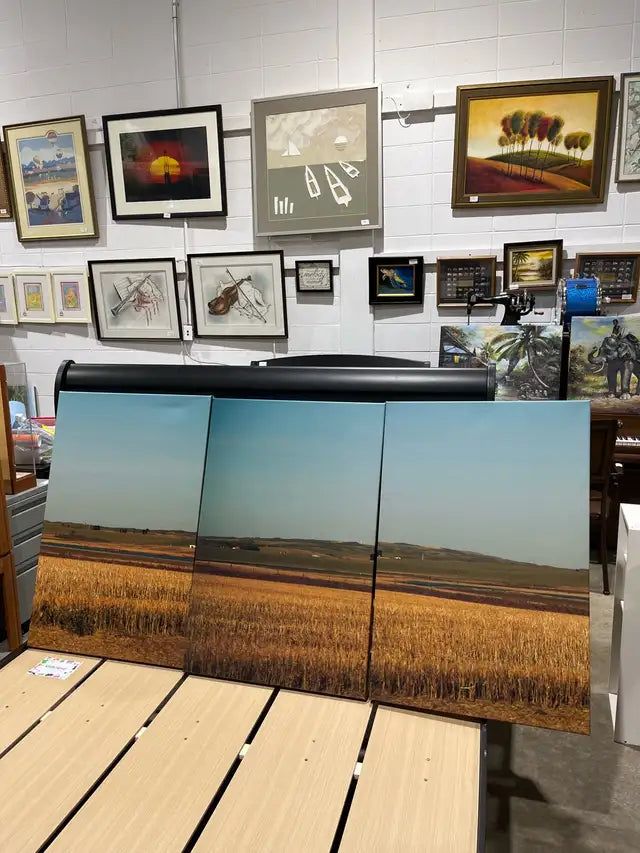 Set of three Canvas Print