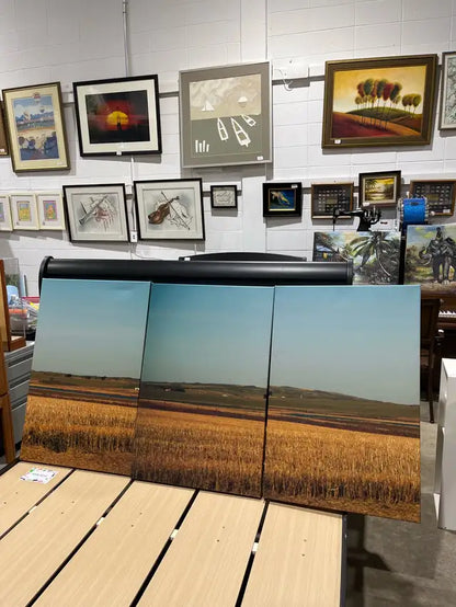 Set of three Canvas Print