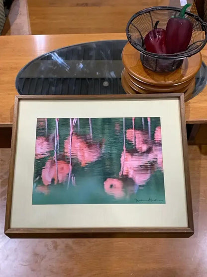 Nelson Medina Reflections Art Print