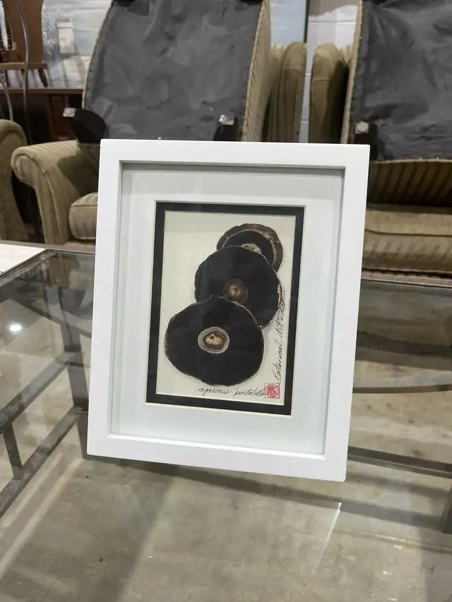 Vintage botanical art