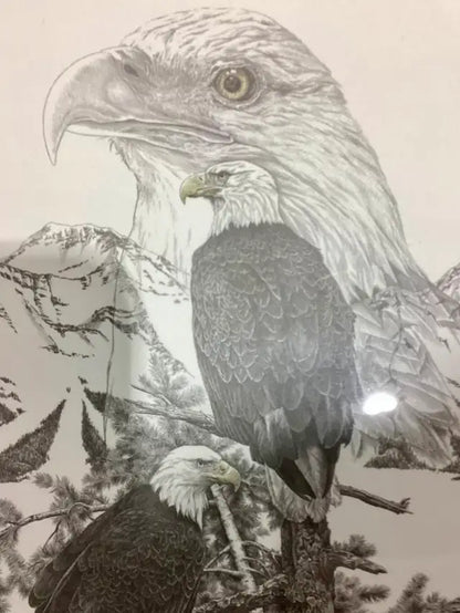Bernie Brown Eagle Print - Framed