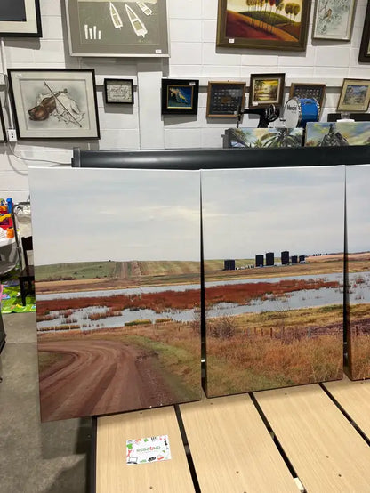 Set of three Canvas Wall Art