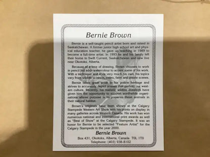 Bernie Brown Eagle Print - Framed