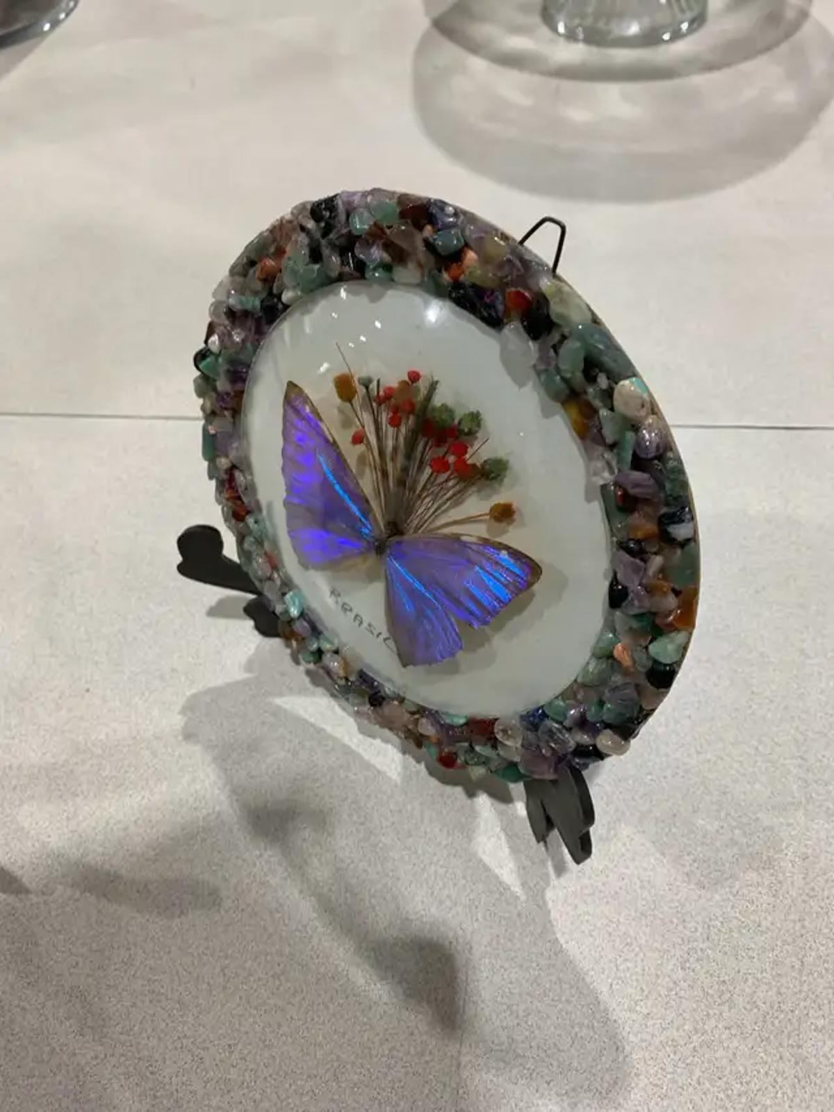 Brazil Gifts Butterfly Display