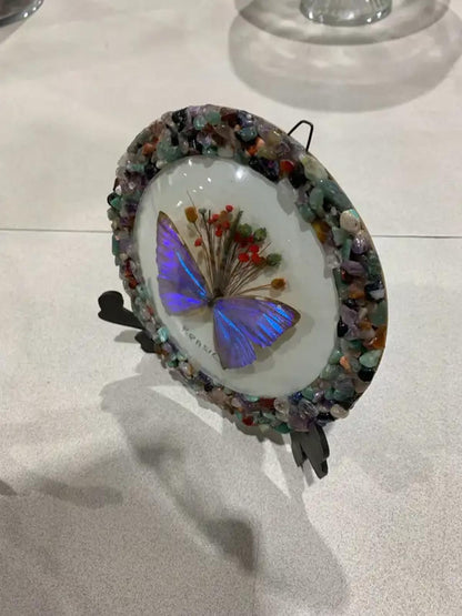 Brazil Gifts Butterfly Display