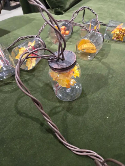 Fall Jar String Lights - 10ft