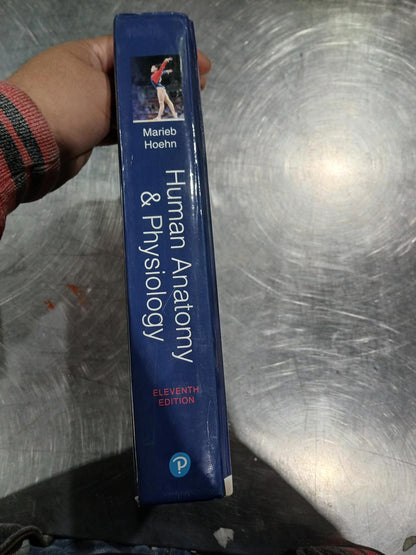 Human Anatomy & Physiology Hardcover, by Marieb Elaine; Hoehn Katja - GOOD