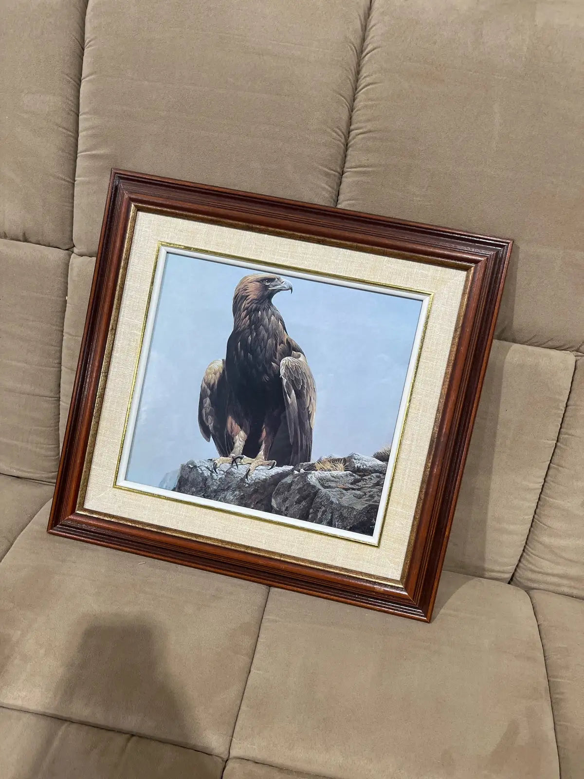 Vintage the eagle framed printed art