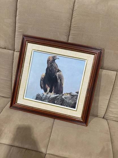 Vintage the eagle framed printed art