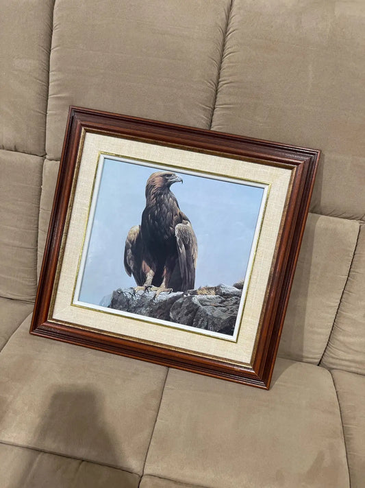 Vintage the eagle framed printed art