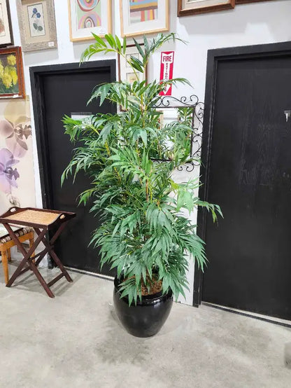 Large Artificial Plant with Ceramic Pot