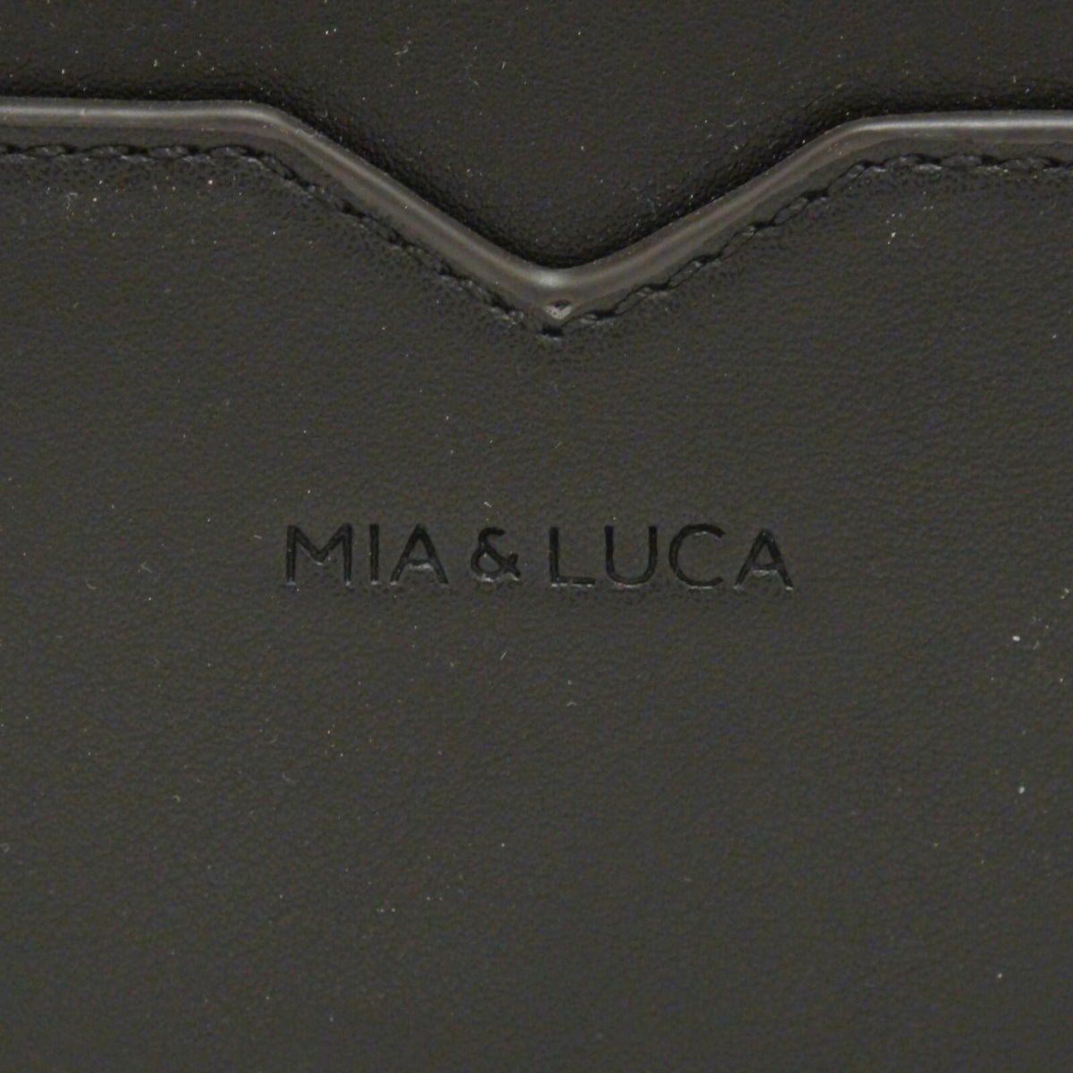 Mia & Luca Black and Snake Small Purse