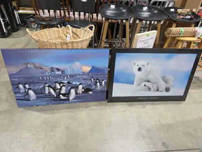 Polar Bear and Penguin Wooden Wall Art