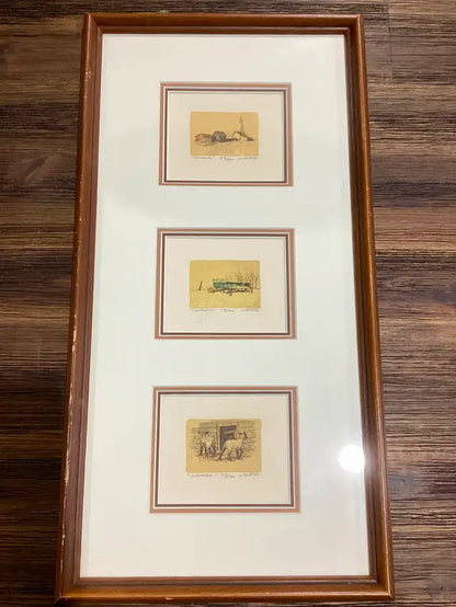 Framed Art Prints by L. Sibos