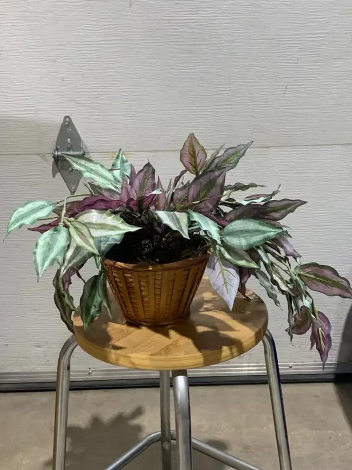 Artificial Inch Plant