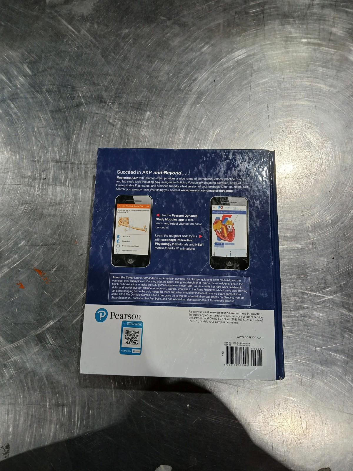 Human Anatomy & Physiology Hardcover, by Marieb Elaine; Hoehn Katja - GOOD