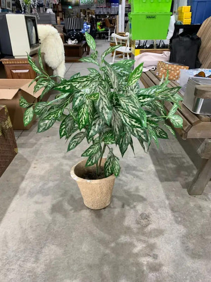 Potted Fake Plant with Wicker Pot
