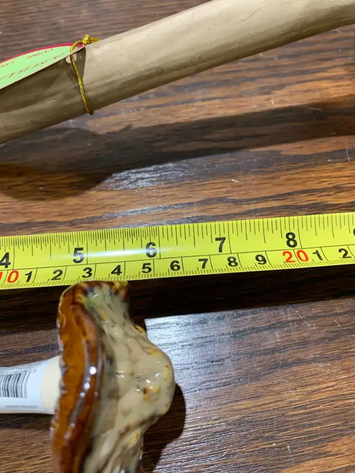 Ceramic Mushroom Figurines