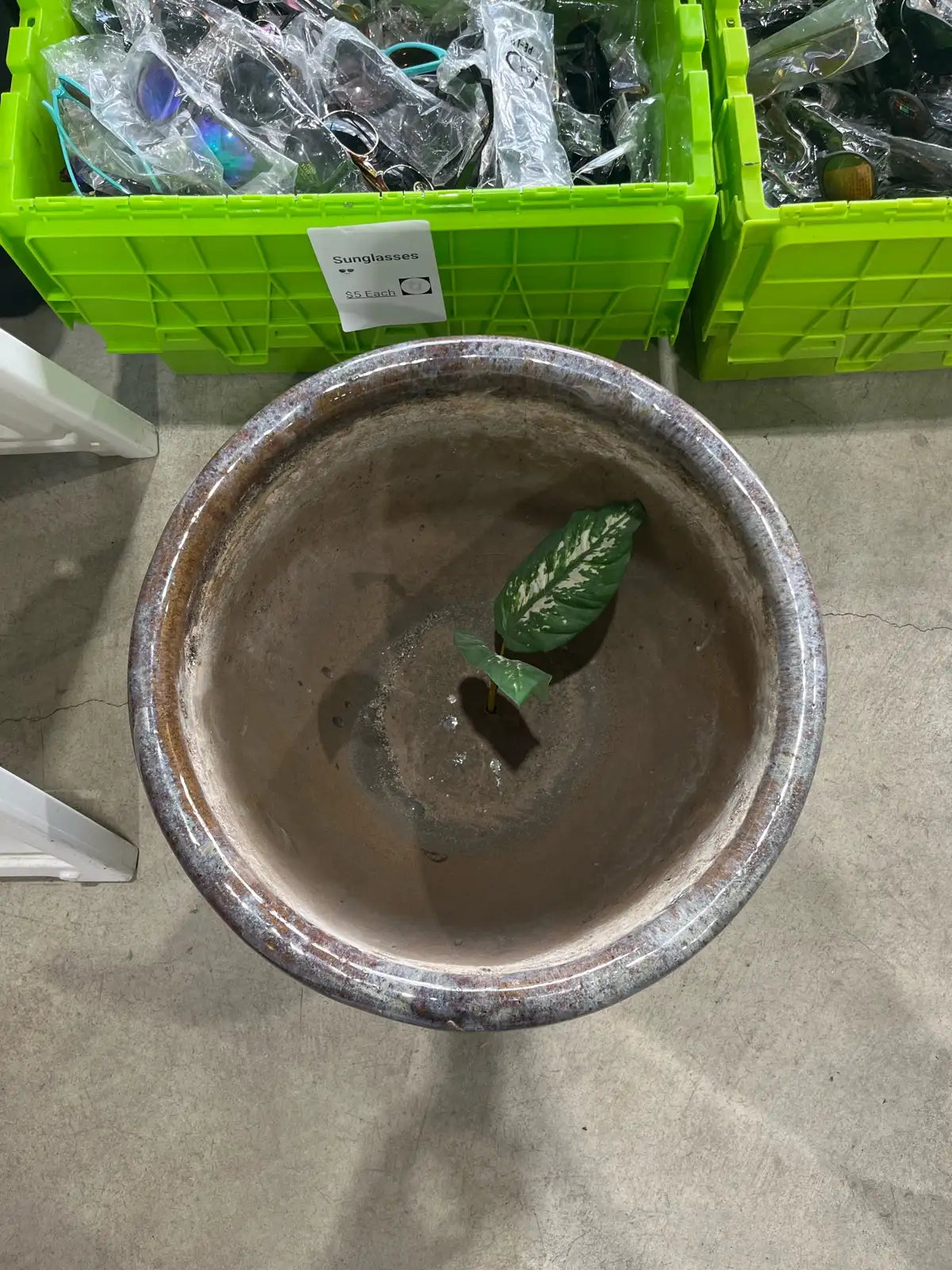 Large Ceramic Planter