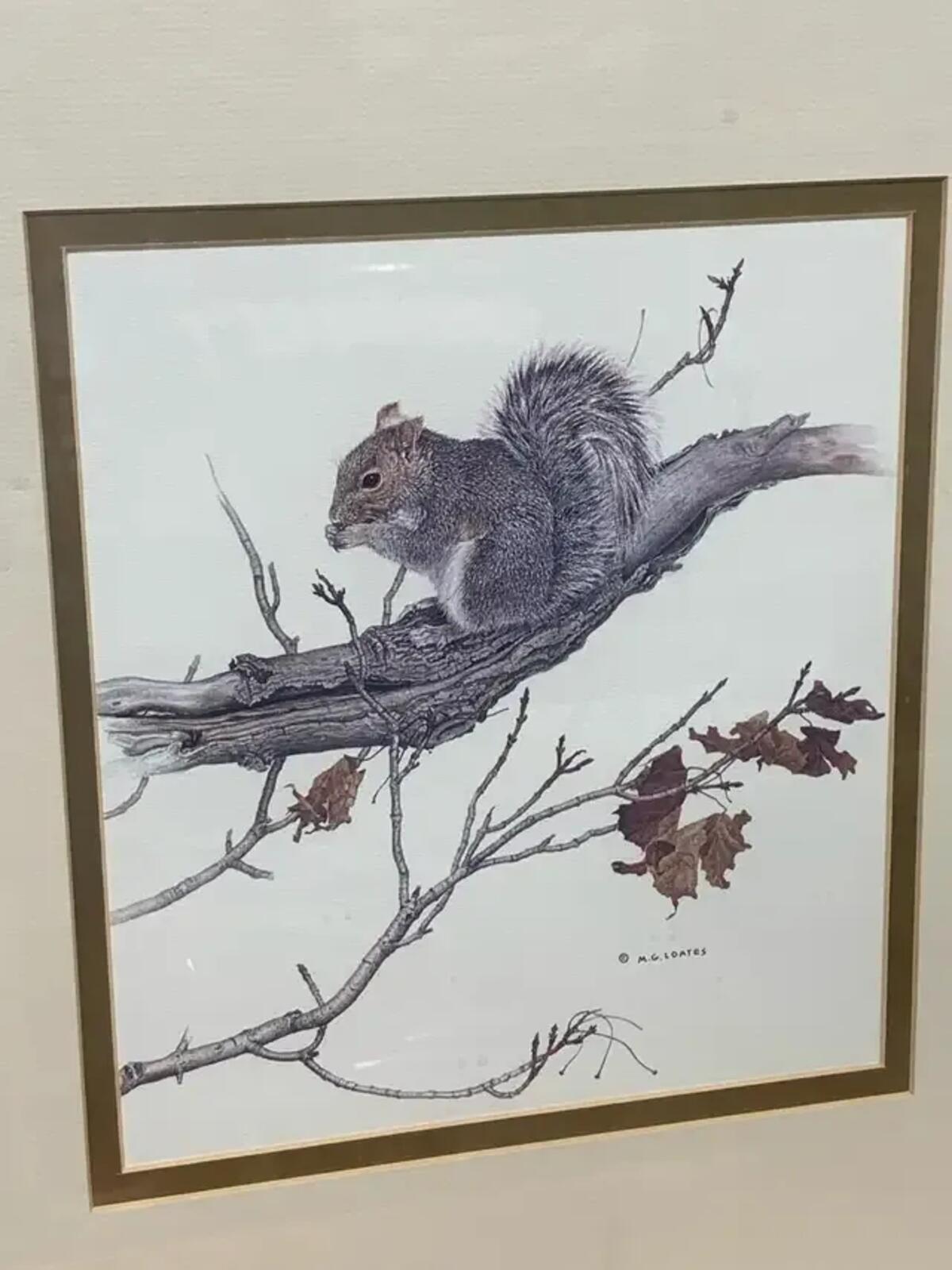Vintage Wildlife Prints - set of 2