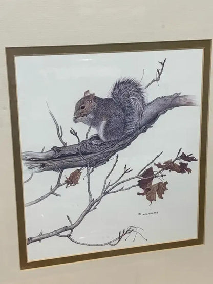 Vintage Wildlife Prints - set of 2