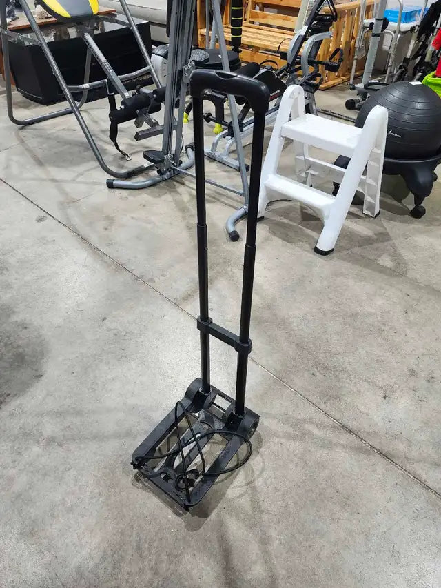 Folding Luggage Cart
