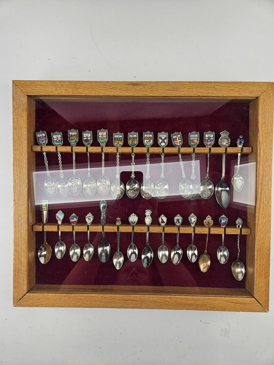 Lot of 28 Assorted Vintage Spoons in Oak Case